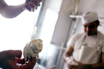 Ismea: Attacco senza precedenti da Onu ad agroalimentare italiano Ismea: Attacco senza precedenti da Onu ad agroalimentare italiano