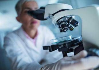 Fecondazione, Nextclinics acquisisce centri Zech Ivf Fecondazione, Nextclinics acquisisce centri Zech Ivf