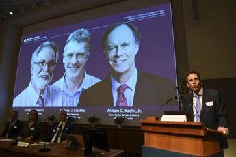 Nobel per la Medicina a Kaelin, Ratcliffe e Semenza Nobel per la Medicina a Kaelin, Ratcliffe e Semenza