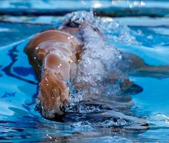 Europei di nuoto, Ponselé bronzo nella 10 km: Contenta ma sognavo la medaglia d'oro Europei di nuoto, Ponselé bronzo nella 10 km: Contenta ma sognavo la medaglia d'oro