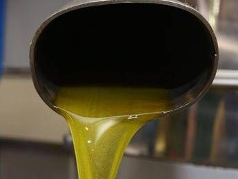 Antitrust avvia 7 istruttorie su autenticità olio extra-vergine Antitrust avvia 7 istruttorie su autenticità olio extra-vergine