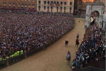 Palio Siena, vince la Selva con cavallo 'scosso' Palio Siena, vince la Selva con cavallo 'scosso'
