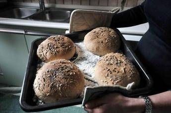 Sveglia più tardi e più tempo in cucina, il lockdown degli italiani Sveglia più tardi e più tempo in cucina, il lockdown degli italiani