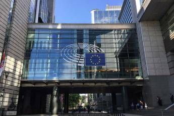 Cina, Europarlamento: Contro uiguri è genocidio Cina, Europarlamento: Contro uiguri è genocidio
