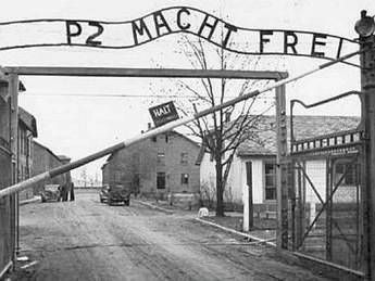 Grillo usa Auschwitz e Levi Comunità ebraica: Profanazione Grillo usa Auschwitz e Levi Comunità ebraica: Profanazione