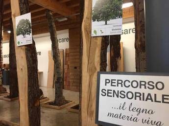 Una filiera virtuosa per il recupero del legno post-Vaia Una filiera virtuosa per il recupero del legno post-Vaia