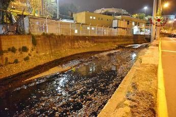 Genova, fuoriuscita petrolio da raffineria: inquinato torrente. E' allarme ambientale /Video - Foto Genova, fuoriuscita petrolio da raffineria: inquinato torrente. E' allarme ambientale /Video - Foto