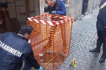 Rubate 20 pietre d'inciampo a Roma Rubate 20 pietre d'inciampo a Roma