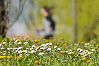 Meteo, primavera sull'Italia Meteo, primavera sull'Italia