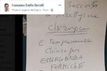 Pronto soccorso chiuso a Napoli per formiche Pronto soccorso chiuso a Napoli per formiche