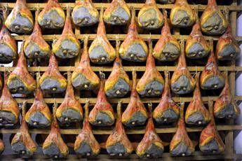 Prosciutto San Daniele, nel 2019 fatturato a 310 mln (+1,4%) Prosciutto San Daniele, nel 2019 fatturato a 310 mln (+1,4%)