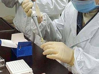 Scambio embrioni, a Roma nuove analisi Dna per tutte le coppie Scambio embrioni, a Roma nuove analisi Dna per tutte le coppie