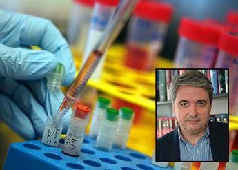 Anticorpi 'bifronti' contro il cancro: L'arma del futuro Anticorpi 'bifronti' contro il cancro: L'arma del futuro