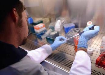 Farmaci per cambiare sesso a bimbi di 9 anni. In Gran Bretagna polemica su trattamento offerto dal Ssn Farmaci per cambiare sesso a bimbi di 9 anni. In Gran Bretagna polemica su trattamento offerto dal Ssn