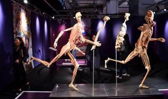 Real Bodies, malato terminale vuole farsi plastinare Real Bodies, malato terminale vuole farsi plastinare