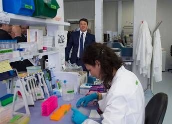 Ricerca, Renzi: Partirà un piano di investimenti da 2,5 miliardi Ricerca, Renzi: Partirà un piano di investimenti da 2,5 miliardi