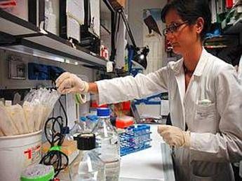 Scienziati pronti a 'rete sorveglianza', semestre Ue occasione Scienziati pronti a 'rete sorveglianza', semestre Ue occasione