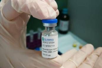 Coronavirus, ricercatori Università Calabria brevettano nuovi anticorpi sintetici Coronavirus, ricercatori Università Calabria brevettano nuovi anticorpi sintetici
