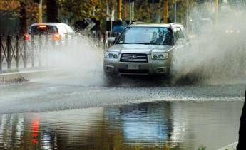 Maltempo, donna ferita a Roma per la caduta di un ramo Maltempo, donna ferita a Roma per la caduta di un ramo
