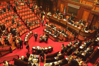 M5S, Perilli e Toninelli i più votati per capogruppo Senato