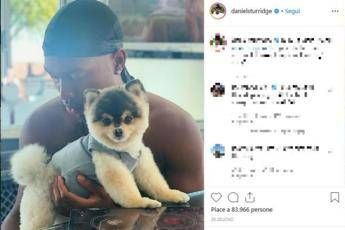 Lucci è tornato a casa Lucci è tornato a casa