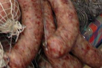Trichinellosi, cos'è Trichinellosi, cos'è