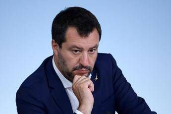 Salvini e la vignetta tedesca: Io a testa in giù, che pena