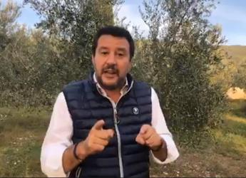 Salvini: Permessi a chi ha massacrato? Col ca...