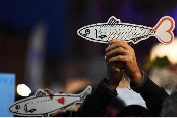 Insulti social a Meloni, Sardine contro 'Sardine Roma' Insulti social a Meloni, Sardine contro 'Sardine Roma'