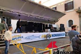 Sardine, il 'caso' del palco Sardine, il 'caso' del palco