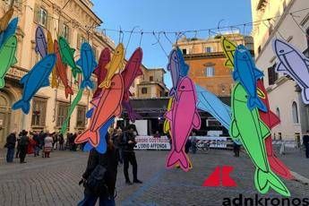 Referendum, Sardine si schierano per il no: Non possiamo tacere Referendum, Sardine si schierano per il no: Non possiamo tacere
