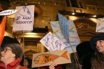 Sardine: Pascale? Benvenuto chi si discosta da sovranismo Sardine: Pascale? Benvenuto chi si discosta da sovranismo