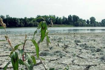 Un quinto Italia a rischio desertificazione Un quinto Italia a rischio desertificazione