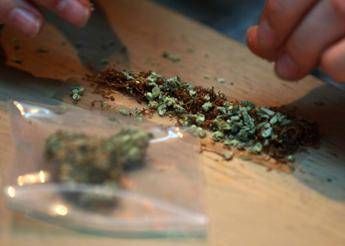 Droga, pena ridotta per il piccolo spaccio. “In migliaia usciranno dal carcere” Droga, pena ridotta per il piccolo spaccio. “In migliaia usciranno dal carcere”