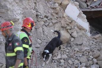Earthquake death-toll could top L'Aquila's official warns Earthquake death-toll could top L'Aquila's official warns