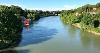 Il Tevere non è più così sporco Il Tevere non è più così sporco