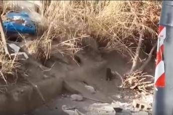 Diventa un caso il video con i bimbi che contano i topi, Raggi a Tor Bella Monaca /Guarda Diventa un caso il video con i bimbi che contano i topi, Raggi a Tor Bella Monaca /Guarda