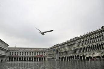 Venezia rinvia pagamento Tari Venezia rinvia pagamento Tari