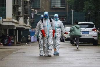 Virus, Oms: Trasmissione da pazienti asintomatici possibile ma rara Virus, Oms: Trasmissione da pazienti asintomatici possibile ma rara