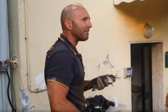 Salva un gattino intrappolato, vigile del fuoco si commuove Salva un gattino intrappolato, vigile del fuoco si commuove