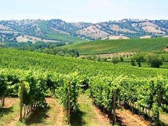 Per l'agroalimentare arriva #campolibero, mutui a tasso zero per under 40 Per l'agroalimentare arriva #campolibero, mutui a tasso zero per under 40