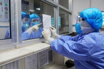 Virus, possibile trasmissione attraverso apparato digerente Virus, possibile trasmissione attraverso apparato digerente
