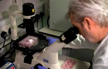 Coronavirus, Piemonte: tutti negativi i 15 test effettuati Coronavirus, Piemonte: tutti negativi i 15 test effettuati