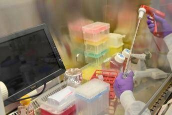 Coronavirus, speranza da anti-virale e anti-artrite: Aifa esamina studi Coronavirus, speranza da anti-virale e anti-artrite: Aifa esamina studi