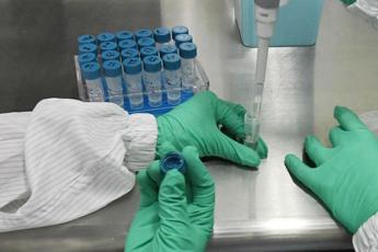 Coronavirus, scienziato Gb: Test vaccino su cavie dà risultati incoraggianti