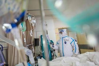 Coronavirus, Zangrillo: Contagi potrebbero azzerarsi a maggio Coronavirus, Zangrillo: Contagi potrebbero azzerarsi a maggio
