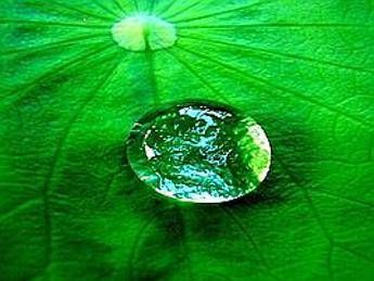 Corpo umano composto fino al 99% d'acqua Corpo umano composto fino al 99% d'acqua