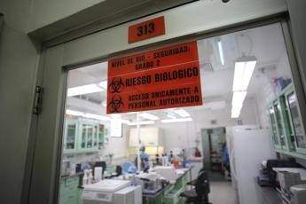 Zika come Ebola, gli Usa alzano l'allerta al livello 1 Zika come Ebola, gli Usa alzano l'allerta al livello 1