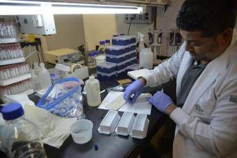 Negli Usa il primo test rapido per Zika, scopre il virus in un giorno Negli Usa il primo test rapido per Zika, scopre il virus in un giorno