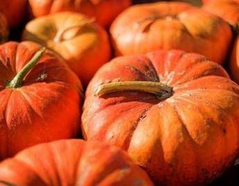 Dallo scrub all'antirughe, tutti i segreti della zucca